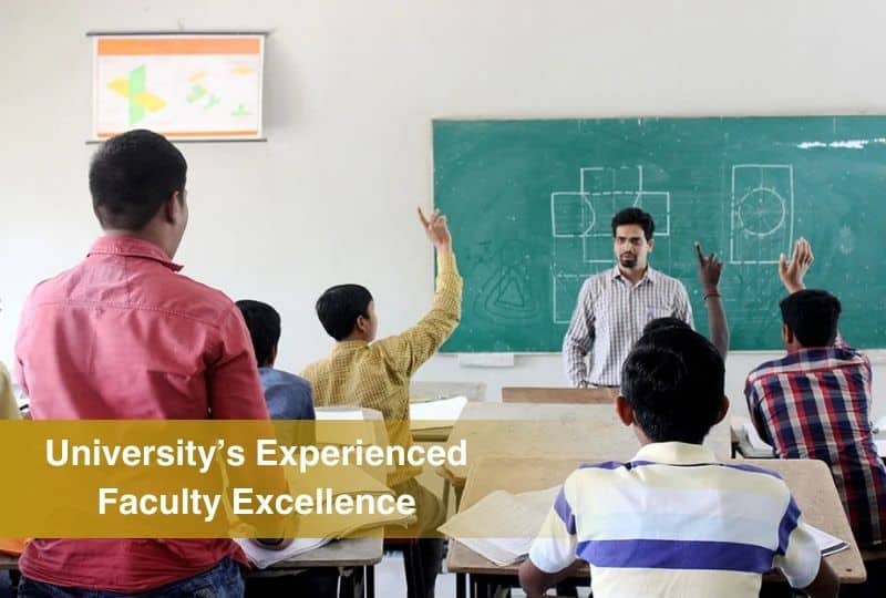University’s Experienced Faculty Excellence
